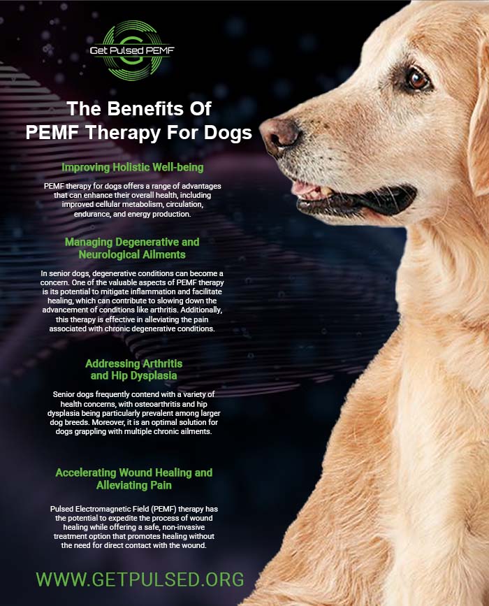PEMF Therapy & Devices For Dogs